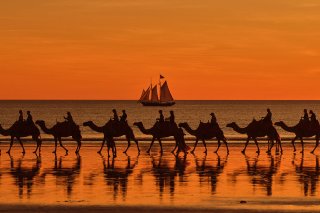 Sunset image of camels walking on back with sailship in background